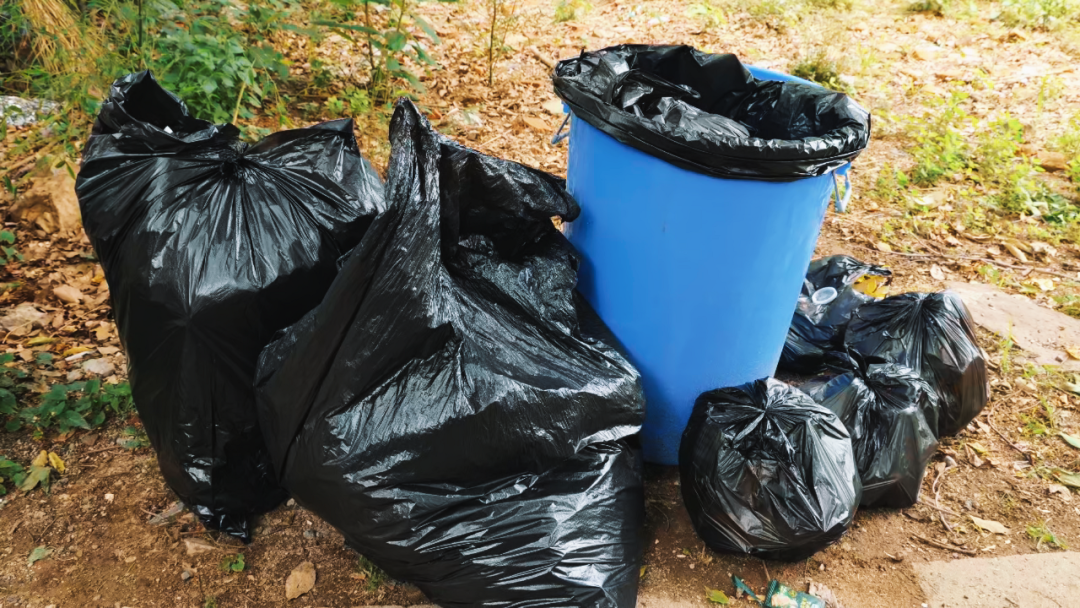 世界环境日 | 江苏铂莱国际开展2025公益净山活动 世界环境日 | 江苏铂莱国际开展2025公益净山活动